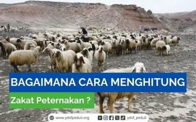 Bagaimana Cara Menghitung Zakat Peternakan?