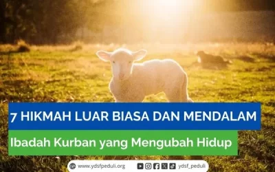 7 Hikmah Luar Biasa dan Mendalam Ibadah Kurban yang Mengubah Hidup