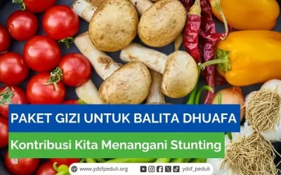 Paket Gizi untuk Balita Dhuafa, Kontribusi Kita Menangani Stunting