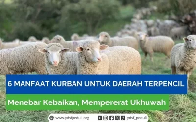 6 Manfaat Kurban untuk Daerah Terpencil: Menebar Kebaikan, Mempererat Ukhuwah