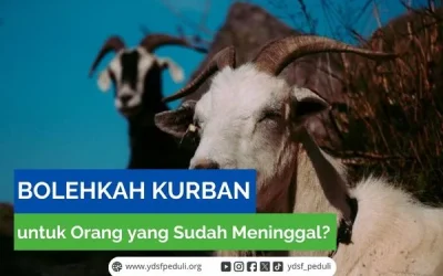 Bolehkah Kurban untuk Orang yang Sudah Meninggal?
