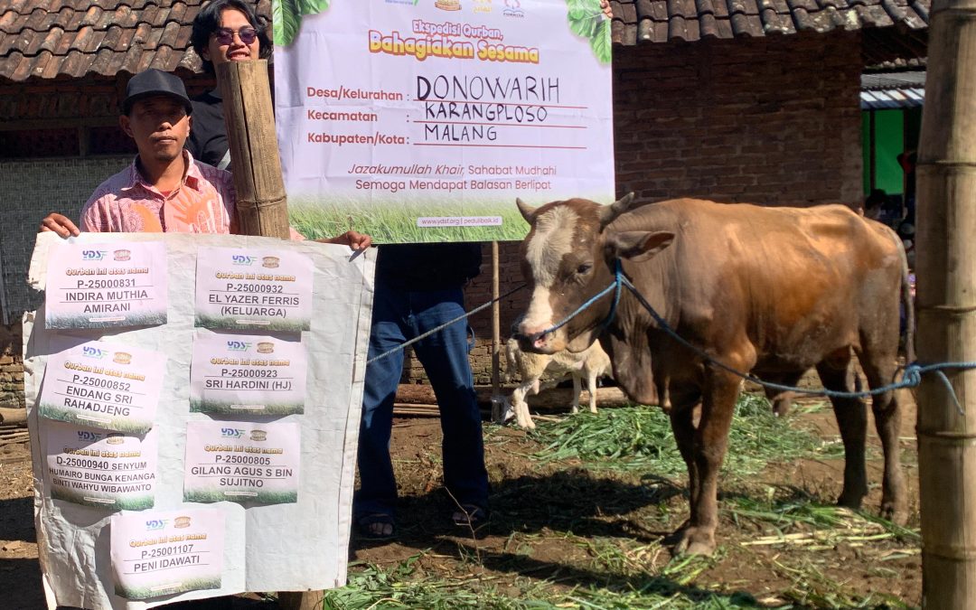 Kolaborasi Kebaikan Idul Adha: YDSF Salurkan Hewan Qurban ke Pelosok Malang & Blitar
