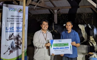 YDSF Salurkan Sapi Perah ke-5 dan Dukungan Nutrisi Pangan dalam Program Lactofa Empowerment